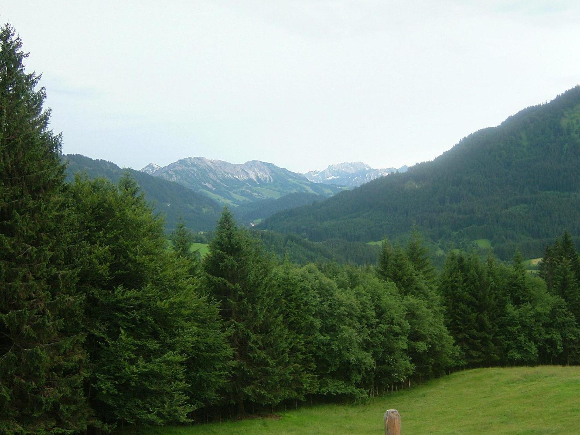 Alpenhof Reuterwanne Hotel Wertach Ngoại thất bức ảnh